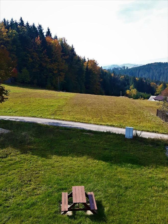 Apartament Z Kominkiem I Wanna Istebna Buitenkant foto