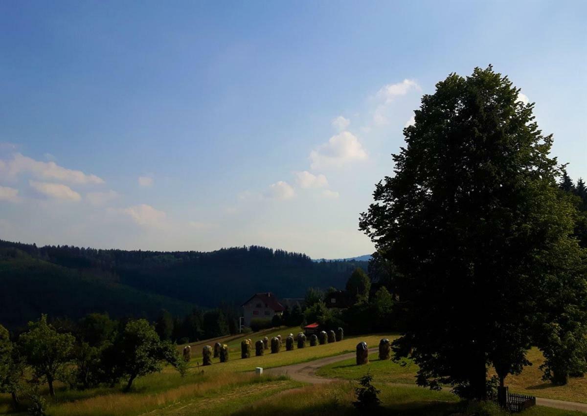 Apartament Z Kominkiem I Wanna Istebna Buitenkant foto