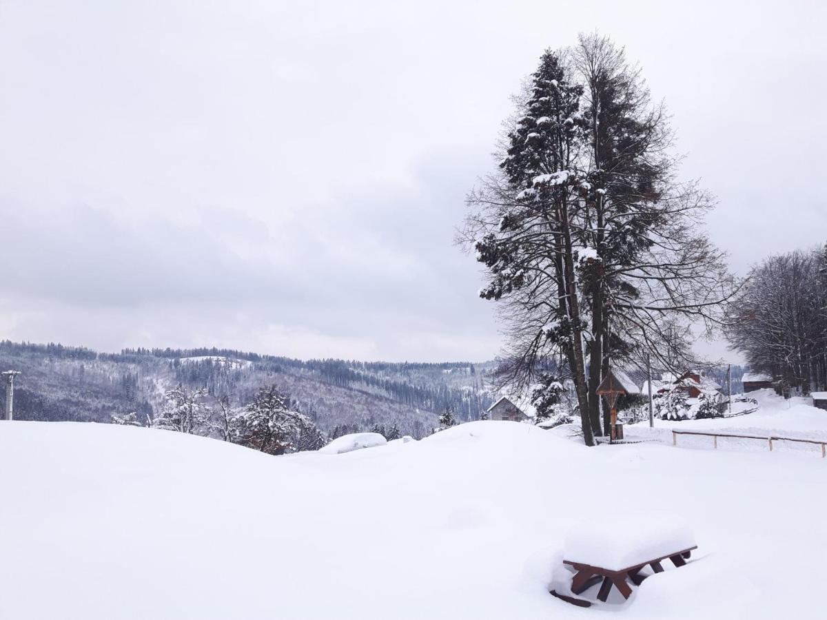 Apartament Z Kominkiem I Wanna Istebna Buitenkant foto