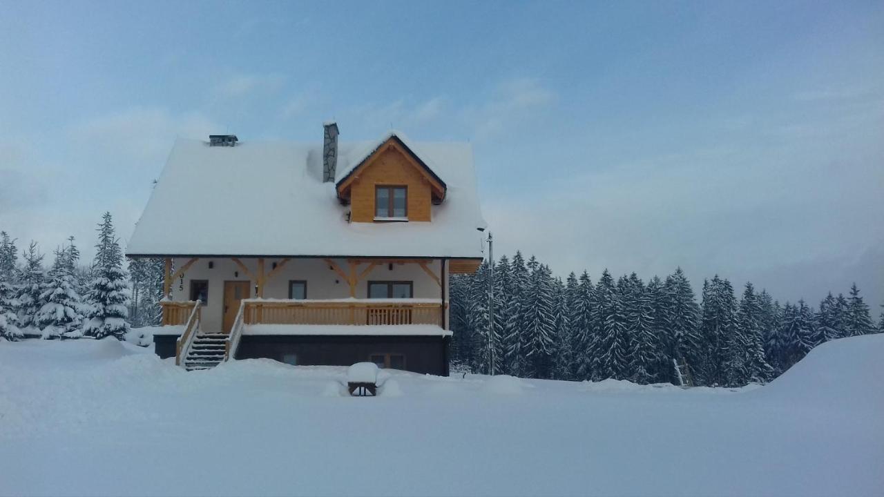 Apartament Z Kominkiem I Wanna Istebna Buitenkant foto